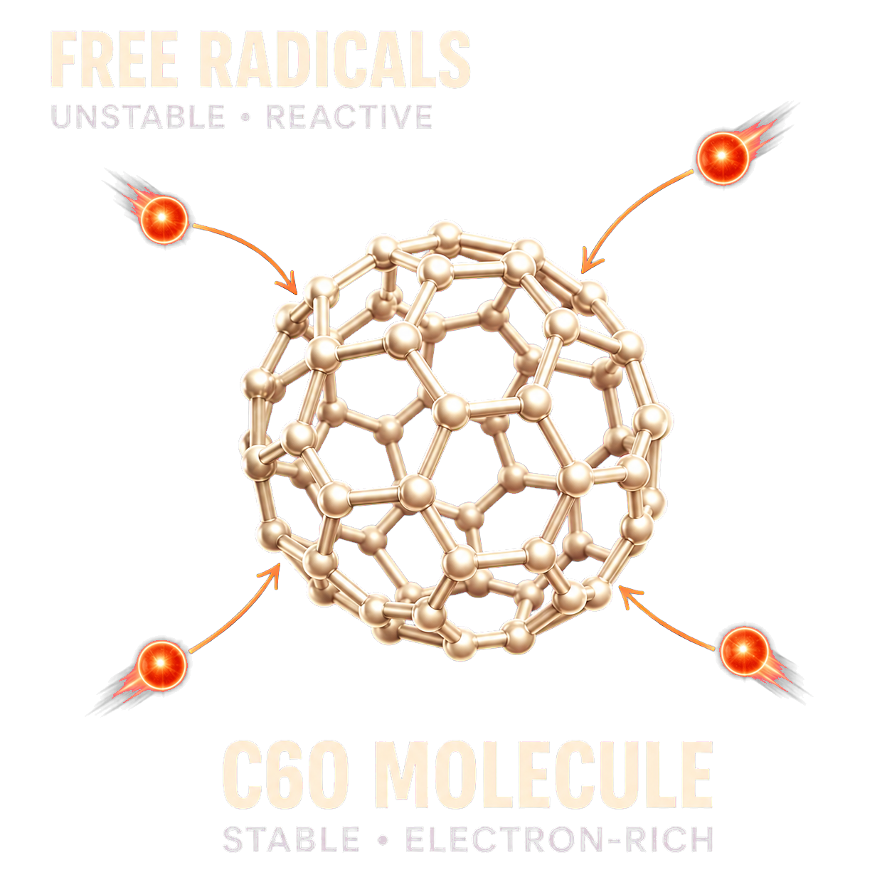 Illustration of Carbon 60 interacting with free radicals